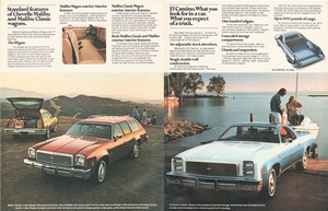 1977 Chevrolet Chevelle (Cdn)-12-13.jpg